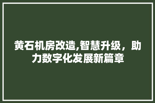 黄石机房改造,智慧升级，助力数字化发展新篇章