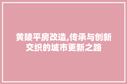 黄陵平房改造,传承与创新交织的城市更新之路