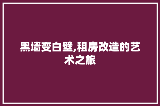 黑墙变白壁,租房改造的艺术之旅
