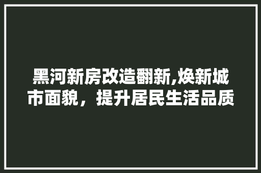 黑河新房改造翻新,焕新城市面貌，提升居民生活品质