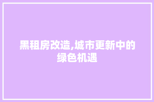黑租房改造,城市更新中的绿色机遇