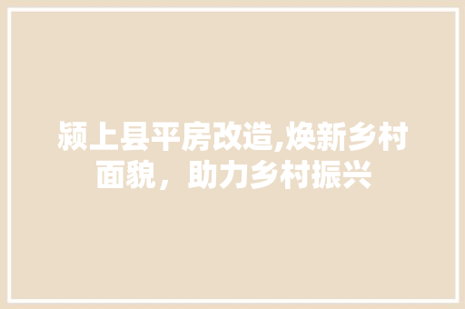 颍上县平房改造,焕新乡村面貌，助力乡村振兴