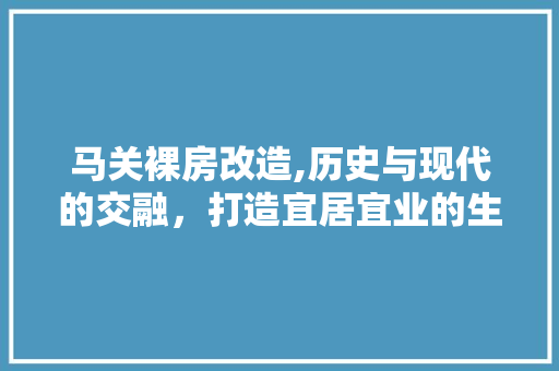 马关裸房改造,历史与现代的交融，打造宜居宜业的生态家园