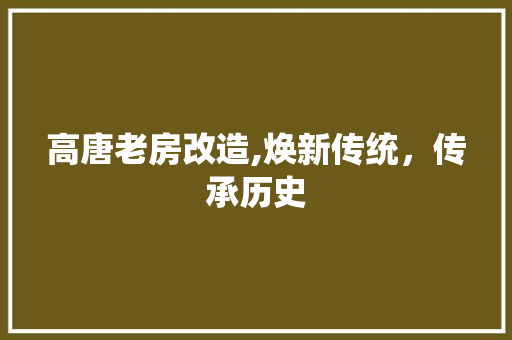 高唐老房改造,焕新传统，传承历史
