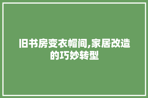 旧书房变衣帽间,家居改造的巧妙转型