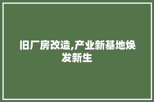 旧厂房改造,产业新基地焕发新生