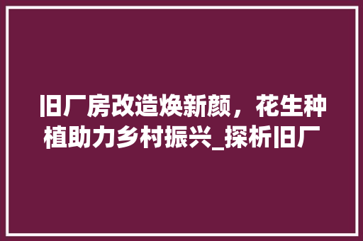 旧厂房改造焕新颜，花生种植助力乡村振兴_探析旧厂房改造与花生种植的完美融合