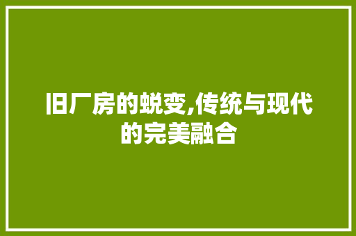 旧厂房的蜕变,传统与现代的完美融合