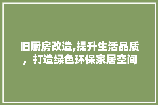 旧厨房改造,提升生活品质，打造绿色环保家居空间