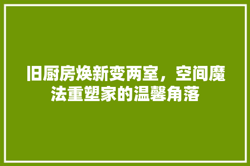 旧厨房焕新变两室，空间魔法重塑家的温馨角落