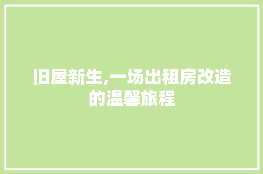 旧屋新生,一场出租房改造的温馨旅程 隔断设计