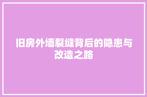 旧房外墙裂缝背后的隐患与改造之路