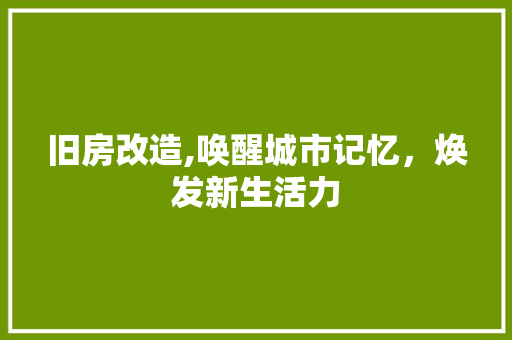 旧房改造,唤醒城市记忆，焕发新生活力