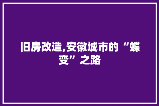 旧房改造,安徽城市的“蝶变”之路