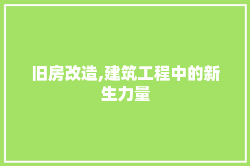 旧房改造,建筑工程中的新生力量