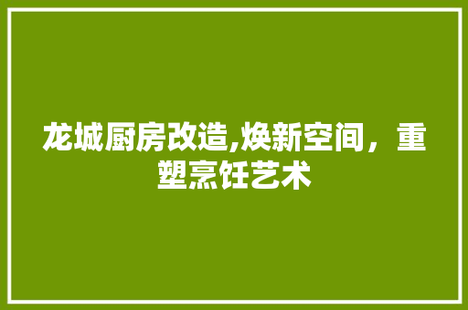 龙城厨房改造,焕新空间，重塑烹饪艺术