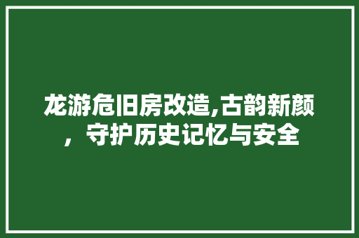 龙游危旧房改造,古韵新颜，守护历史记忆与安全