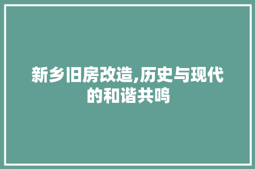 新乡旧房改造,历史与现代的和谐共鸣 墙面装饰