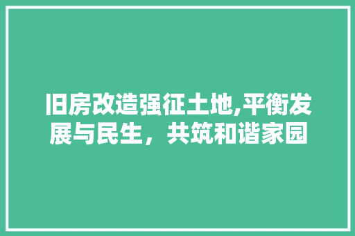 旧房改造强征土地,平衡发展与民生，共筑和谐家园