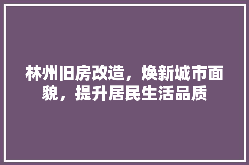 林州旧房改造，焕新城市面貌，提升居民生活品质