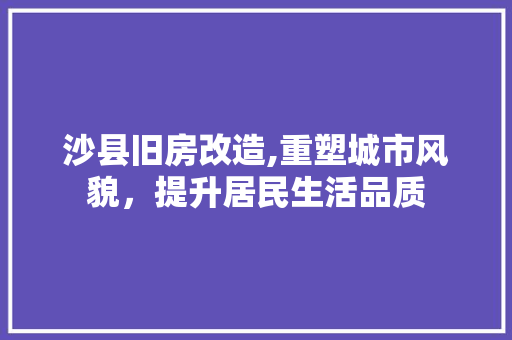 沙县旧房改造,重塑城市风貌，提升居民生活品质 门窗装修
