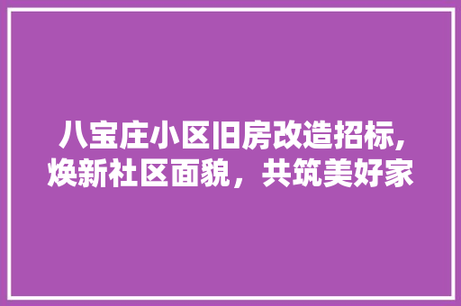 八宝庄小区旧房改造招标,焕新社区面貌，共筑美好家园