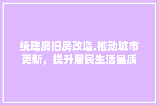 统建房旧房改造,推动城市更新，提升居民生活品质