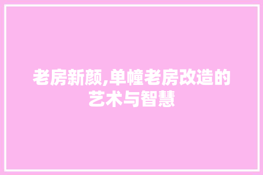 老房新颜,单幢老房改造的艺术与智慧