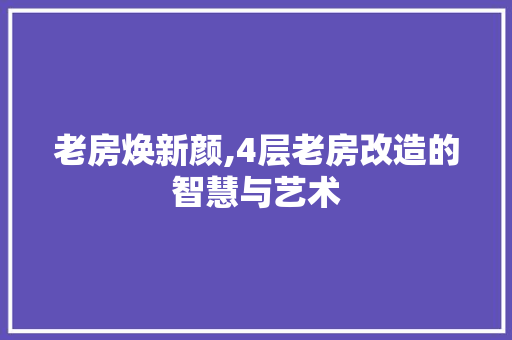 老房焕新颜,4层老房改造的智慧与艺术