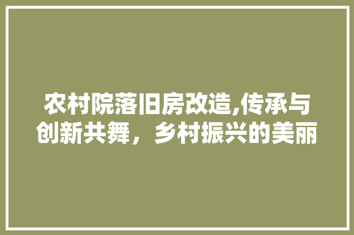 农村院落旧房改造,传承与创新共舞，乡村振兴的美丽画卷