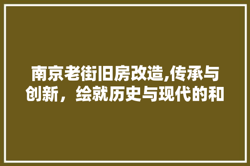 南京老街旧房改造,传承与创新，绘就历史与现代的和谐画卷