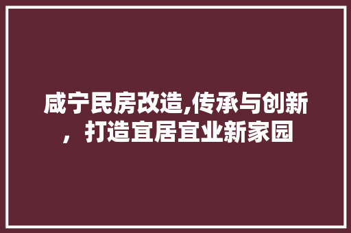 咸宁民房改造,传承与创新，打造宜居宜业新家园