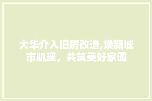 大华介入旧房改造,焕新城市肌理，共筑美好家园 庭院装修