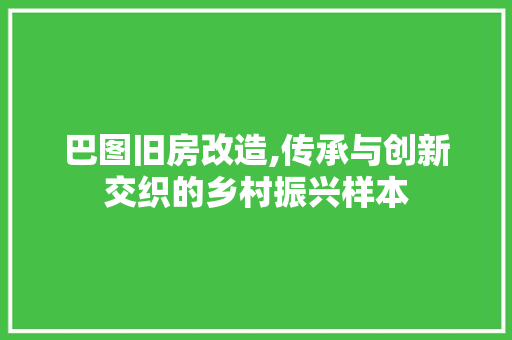 巴图旧房改造,传承与创新交织的乡村振兴样本