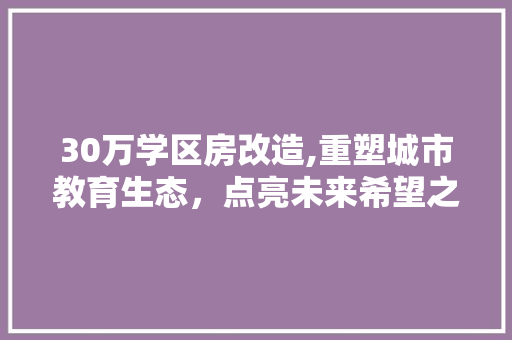 30万学区房改造,重塑城市教育生态，点亮未来希望之光