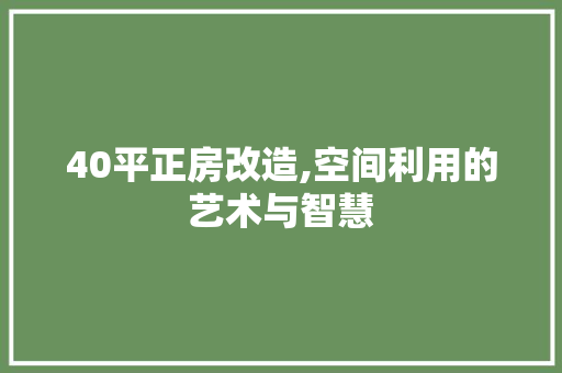 40平正房改造,空间利用的艺术与智慧
