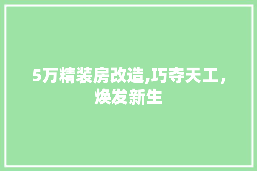 5万精装房改造,巧夺天工，焕发新生