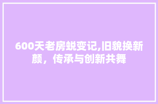 600天老房蜕变记,旧貌换新颜，传承与创新共舞