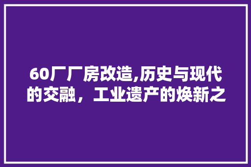 60厂厂房改造,历史与现代的交融，工业遗产的焕新之旅