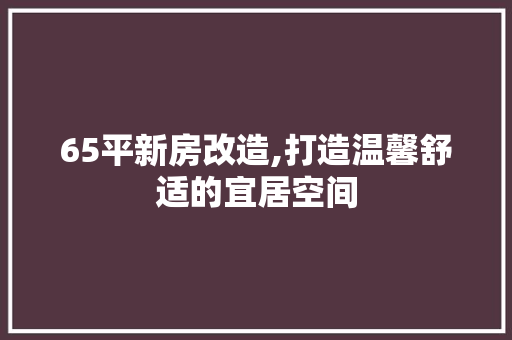 65平新房改造,打造温馨舒适的宜居空间