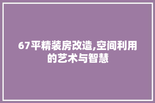 67平精装房改造,空间利用的艺术与智慧
