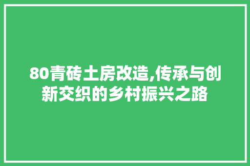 80青砖土房改造,传承与创新交织的乡村振兴之路
