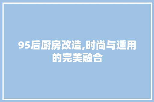 95后厨房改造,时尚与适用的完美融合