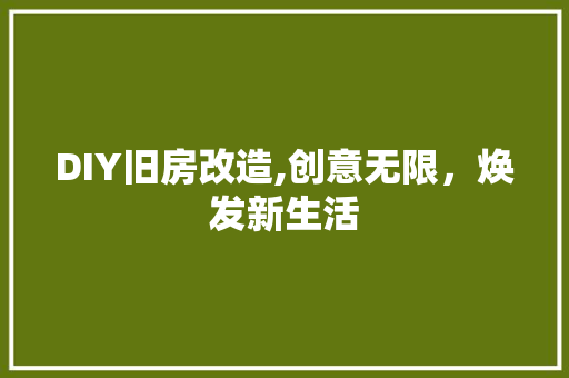DIY旧房改造,创意无限，焕发新生活