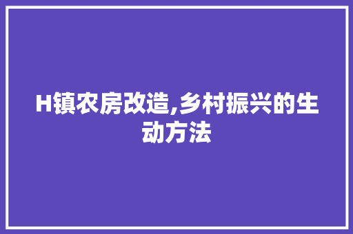 H镇农房改造,乡村振兴的生动方法