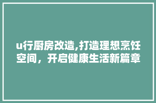 u行厨房改造,打造理想烹饪空间，开启健康生活新篇章