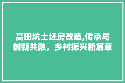高田坑土坯房改造,传承与创新共融，乡村振兴新篇章