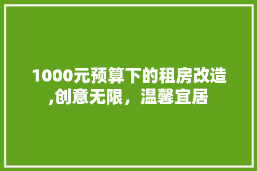 1000元预算下的租房改造,创意无限，温馨宜居