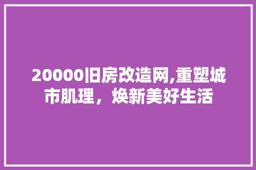 20000旧房改造网,重塑城市肌理，焕新美好生活