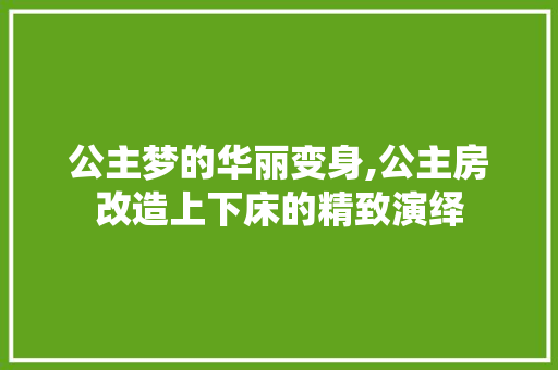 公主梦的华丽变身,公主房改造上下床的精致演绎